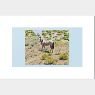 Wild horses, mustangs, Nevada, Standing Proud Posters and Art